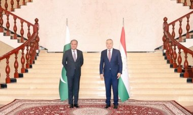 FM Qureshi discusses Afghan situation with Tajik counterpart